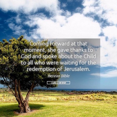 Picture 05 - Luke 2:38 BSB - Coming forward at that moment, she gave thanks to - Bible Verse Picture