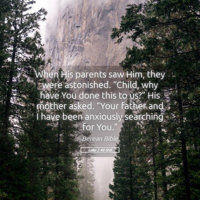 Picture 05 - Luke 2:48 BSB - When His parents saw Him, they were astonished. - Bible Verse Picture