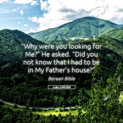 Picture 05 - Luke 2:49 BSB - “Why were you looking for Me?” He asked. - Bible Verse Picture