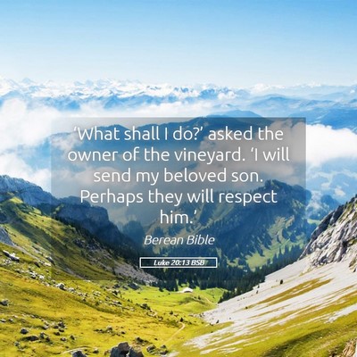 Picture 05 - Luke 20:13 BSB - ‘What shall I do?’ asked the owner of the - Bible Verse Picture