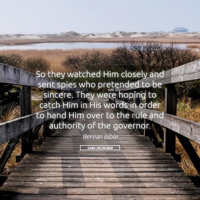Picture 05 - Luke 20:20 BSB - So they watched Him closely and sent spies who - Bible Verse Picture