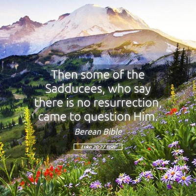 Picture 05 - Luke 20:27 BSB - Then some of the Sadducees, who say there is no - Bible Verse Picture