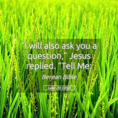 Picture 05 - Luke 20:3 BSB - “I will also ask you a question,” Jesus - Bible Verse Picture