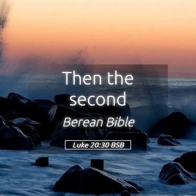 Picture 05 - Luke 20:30 BSB - Then the - Bible Verse Picture