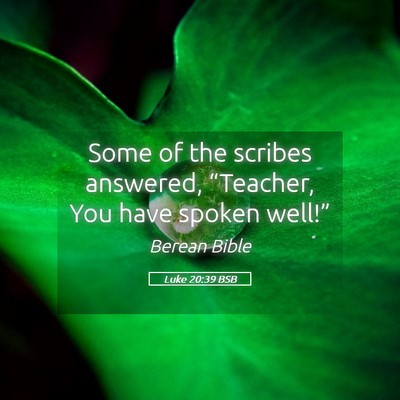 Picture 05 - Luke 20:39 BSB - Some of the scribes answered, “Teacher, You - Bible Verse Picture