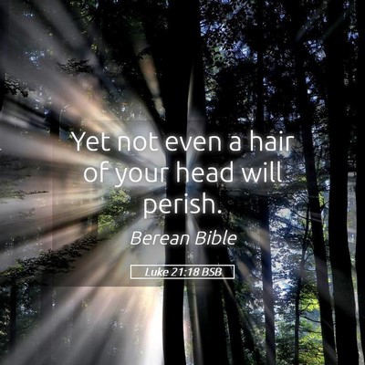 Picture 05 - Luke 21:18 BSB - Yet not even a hair of your head will - Bible Verse Picture