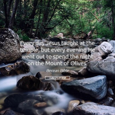 Picture 05 - Luke 21:37 BSB - Every day Jesus taught at the temple, but every - Bible Verse Picture