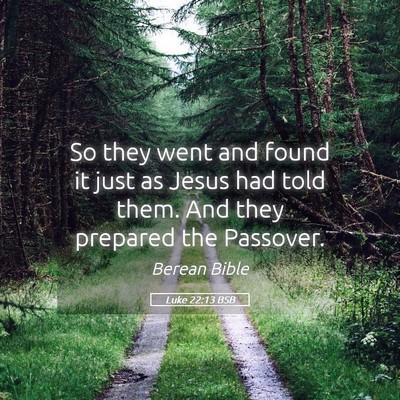 Picture 05 - Luke 22:13 BSB - So they went and found it just as Jesus had told - Bible Verse Picture
