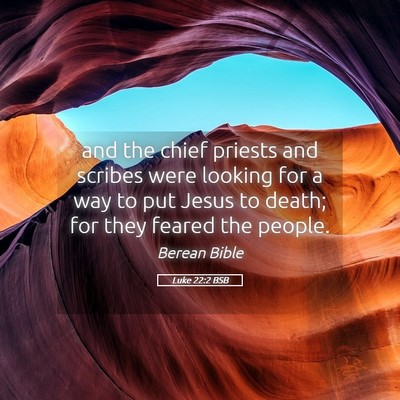 Picture 05 - Luke 22:2 BSB - and the chief priests and scribes were looking - Bible Verse Picture