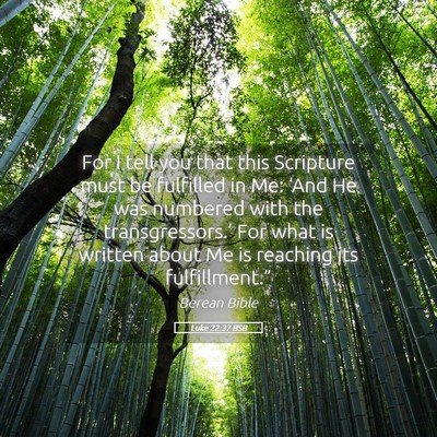 Picture 05 - Luke 22:37 BSB - For I tell you that this Scripture must be - Bible Verse Picture