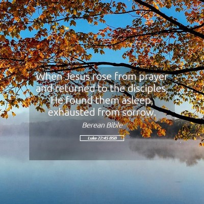 Picture 05 - Luke 22:45 BSB - When Jesus rose from prayer and returned to the - Bible Verse Picture