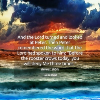 Picture 05 - Luke 22:61 BSB - And the Lord turned and looked at Peter. Then - Bible Verse Picture
