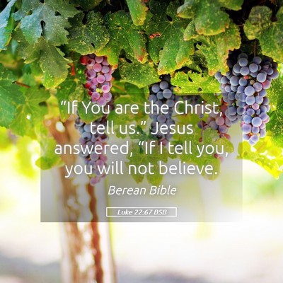 Picture 05 - Luke 22:67 BSB - “If You are the Christ, tell us.” Jesus - Bible Verse Picture