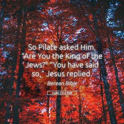 Picture 05 - Luke 23:3 BSB - So Pilate asked Him, “Are You the King of the - Bible Verse Picture