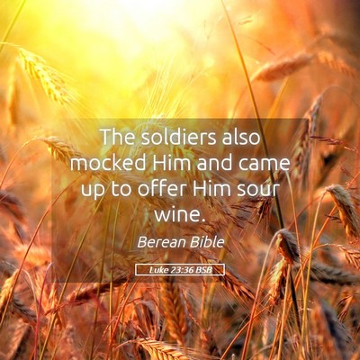 Picture 05 - Luke 23:36 BSB - The soldiers also mocked Him and came up to offer - Bible Verse Picture