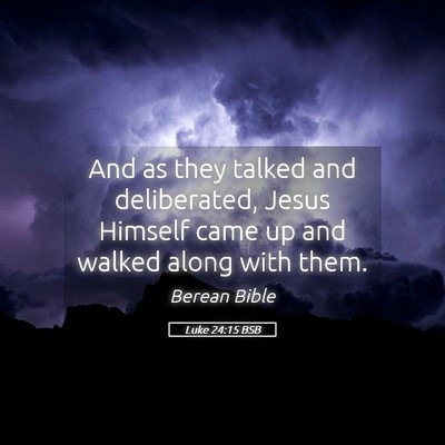 Picture 05 - Luke 24:15 BSB - And as they talked and deliberated, Jesus Himself - Bible Verse Picture