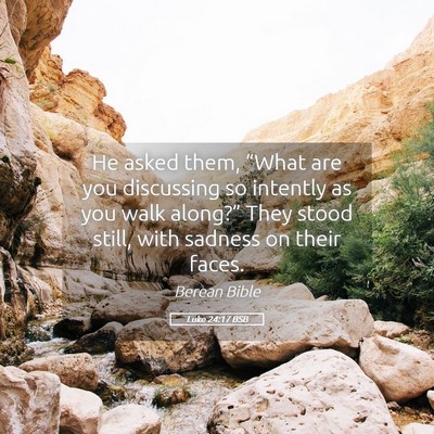Picture 05 - Luke 24:17 BSB - He asked them, “What are you discussing so - Bible Verse Picture