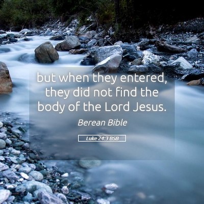 Picture 05 - Luke 24:3 BSB - but when they entered, they did not find the body - Bible Verse Picture