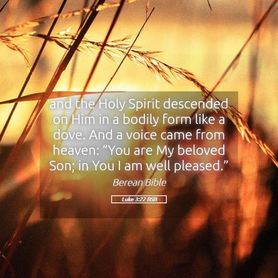 Picture 05 - Luke 3:22 BSB - and the Holy Spirit descended on Him in a bodily - Bible Verse Picture