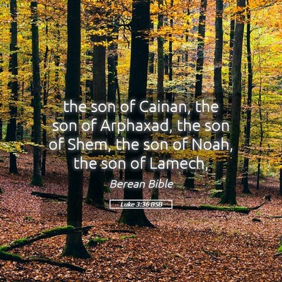 Picture 05 - Luke 3:36 BSB - the son of Cainan, the son of Arphaxad, the son - Bible Verse Picture