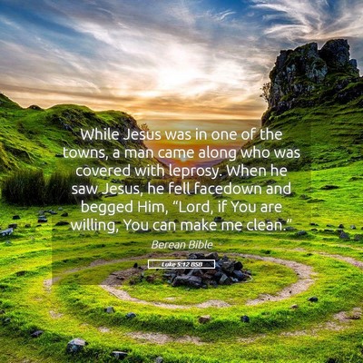 Picture 05 - Luke 5:12 BSB - While Jesus was in one of the towns, a man came - Bible Verse Picture