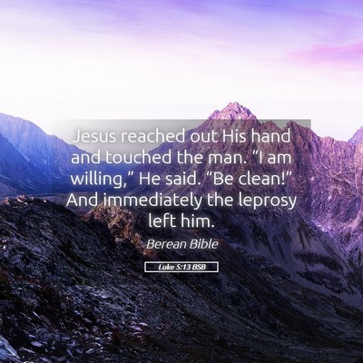Picture 05 - Luke 5:13 BSB - Jesus reached out His hand and touched the man. - Bible Verse Picture