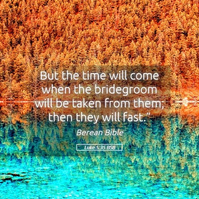 Picture 05 - Luke 5:35 BSB - But the time will come when the bridegroom will - Bible Verse Picture