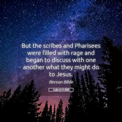 Picture 05 - Luke 6:11 BSB - But the scribes and Pharisees were filled with - Bible Verse Picture