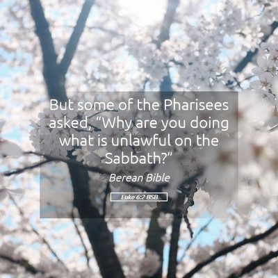 Picture 05 - Luke 6:2 BSB - But some of the Pharisees asked, “Why are you - Bible Verse Picture