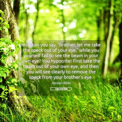 Picture 05 - Luke 6:42 BSB - How can you say, ‘Brother, let me take the - Bible Verse Picture