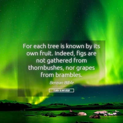 Picture 05 - Luke 6:44 BSB - For each tree is known by its own fruit. Indeed, - Bible Verse Picture
