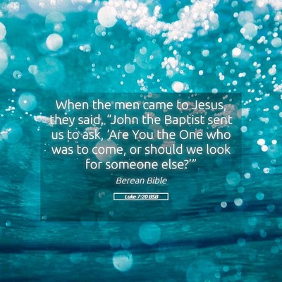 Picture 05 - Luke 7:20 BSB - When the men came to Jesus, they said, “John - Bible Verse Picture
