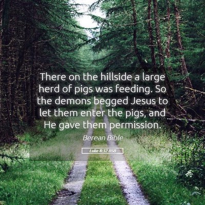 Picture 05 - Luke 8:32 BSB - There on the hillside a large herd of pigs was - Bible Verse Picture