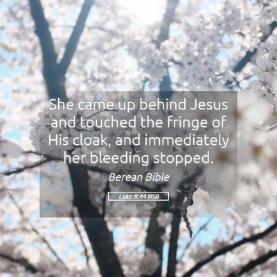 Picture 05 - Luke 8:44 BSB - She came up behind Jesus and touched the fringe - Bible Verse Picture