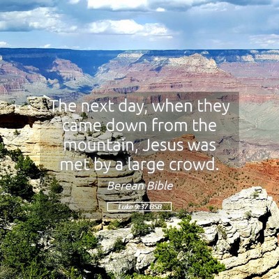 Picture 05 - Luke 9:37 BSB - The next day, when they came down from the - Bible Verse Picture