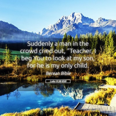 Picture 05 - Luke 9:38 BSB - Suddenly a man in the crowd cried out, - Bible Verse Picture