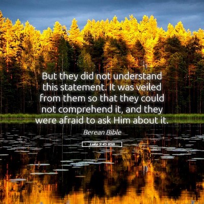 Picture 05 - Luke 9:45 BSB - But they did not understand this statement. It - Bible Verse Picture