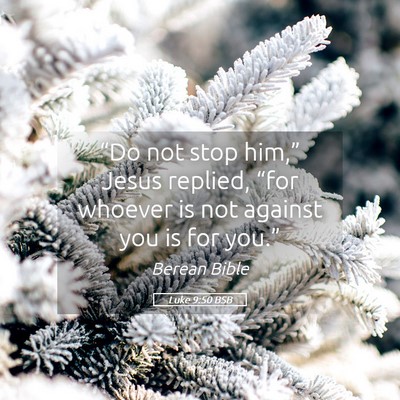Picture 05 - Luke 9:50 BSB - “Do not stop him,” Jesus replied, “for - Bible Verse Picture