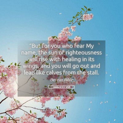 Picture 05 - Malachi 4:2 BSB - “But for you who fear My name, the sun of - Bible Verse Picture
