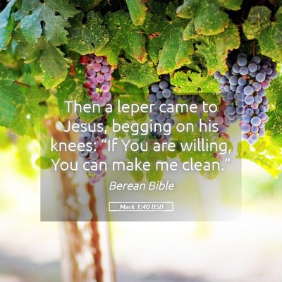 Picture 05 - Mark 1:40 BSB - Then a leper came to Jesus, begging on his knees: - Bible Verse Picture