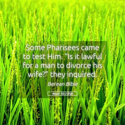 Picture 05 - Mark 10:2 BSB - Some Pharisees came to test Him. “Is it lawful - Bible Verse Picture