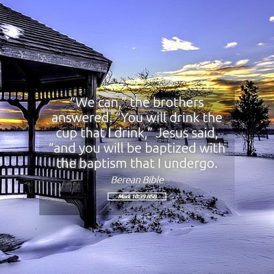 Picture 05 - Mark 10:39 BSB - “We can,” the brothers answered. “You will - Bible Verse Picture