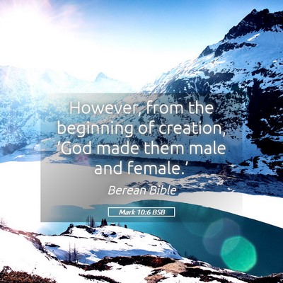 Picture 05 - Mark 10:6 BSB - However, from the beginning of creation, ‘God - Bible Verse Picture