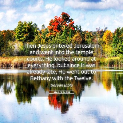 Picture 05 - Mark 11:11 BSB - Then Jesus entered Jerusalem and went into the - Bible Verse Picture