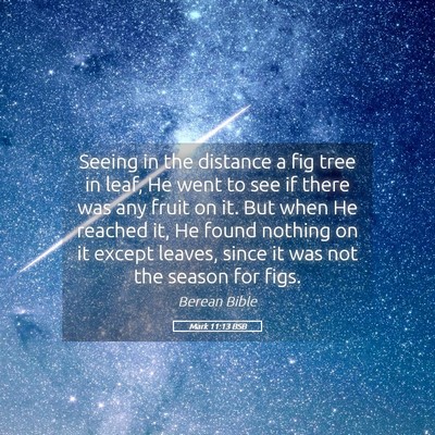 Picture 05 - Mark 11:13 BSB - Seeing in the distance a fig tree in leaf, He - Bible Verse Picture
