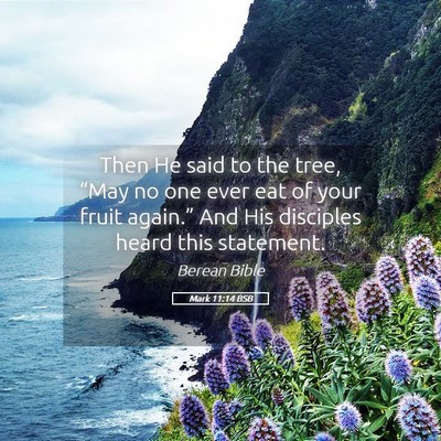 Picture 05 - Mark 11:14 BSB - Then He said to the tree, “May no one ever eat - Bible Verse Picture