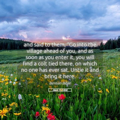 Picture 05 - Mark 11:2 BSB - and said to them, “Go into the village ahead of - Bible Verse Picture