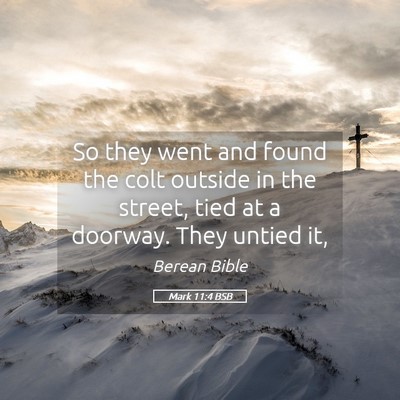 Picture 05 - Mark 11:4 BSB - So they went and found the colt outside in the - Bible Verse Picture