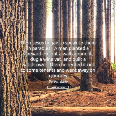 Picture 05 - Mark 12:1 BSB - Then Jesus began to speak to them in parables: - Bible Verse Picture