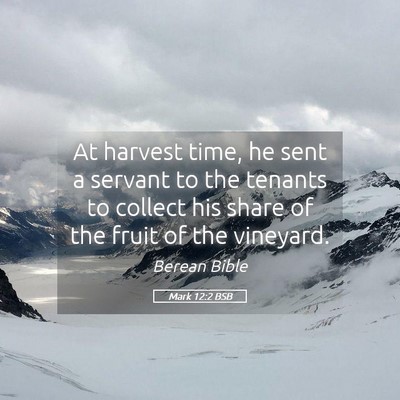 Picture 05 - Mark 12:2 BSB - At harvest time, he sent a servant to the tenants - Bible Verse Picture